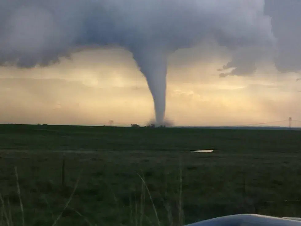 Four killed in unseasonal rain, tornado in South Africa