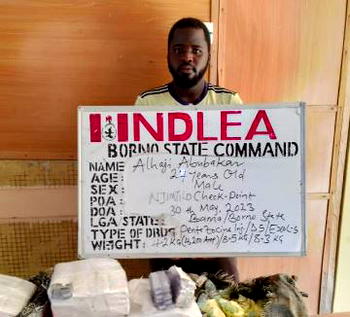 Drug War: NDLEA seizes 76.9kg Loud from Canada