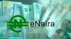 Court declines to bar CBN from using e-Naira trademark