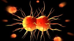 Potential introduction of gonorrhea vaccination gives patients hope