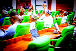 Reps to begin sectoral consideration on 2024 Budget after second reading