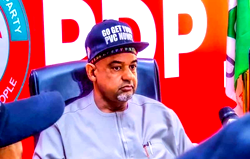 PDP suspends discussion on national secretary position