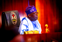 Tinubu’s credit economy proposal