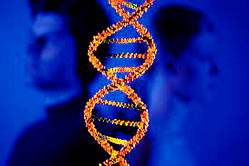 Firm expands DNA testing beyond paternity in Nigeria