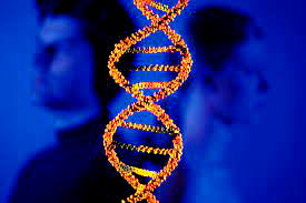 Firm expands DNA testing beyond paternity in Nigeria