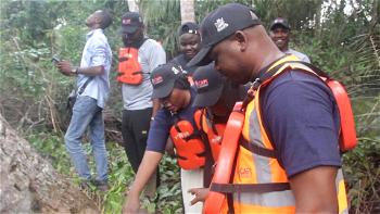 FG tasked on planting trees as safety measure for flooding