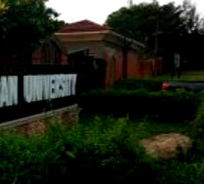 Why we always organize fitness walk for Nigerians – Dominican University