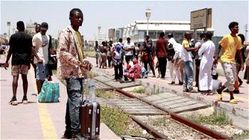 ‘Stop expelling migrants to desert’, human rights group warns Tunisia