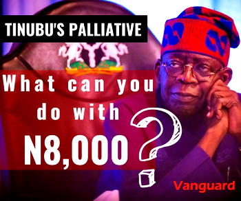 [People Talk] Tinubu’s Palliative: What can you do with N8,000?