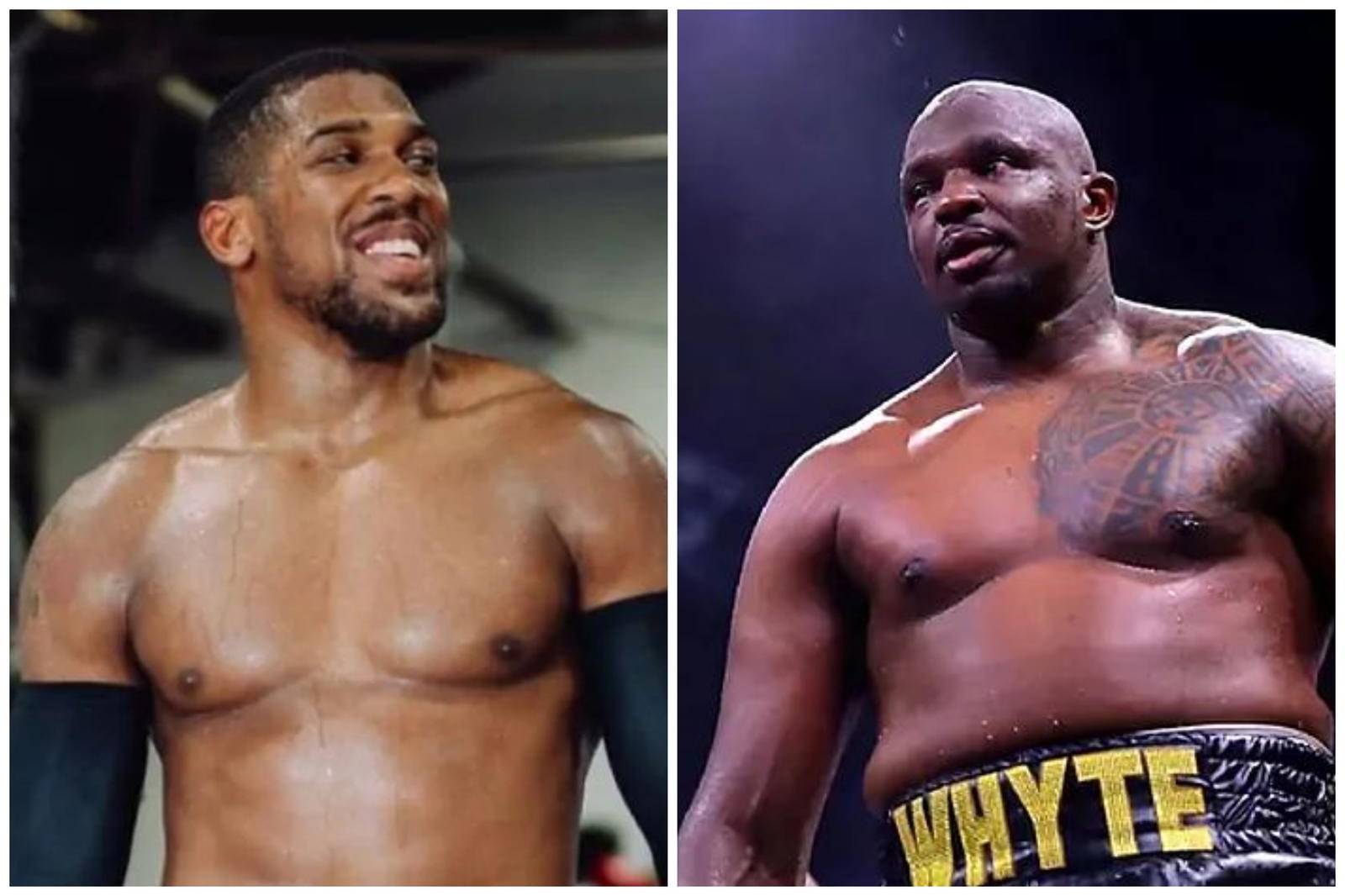 Joshua set for Dillian Whyte showdown in August