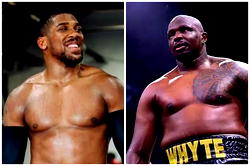 Whyte protests innocence after ‘adverse’ doping test stops Joshua fight