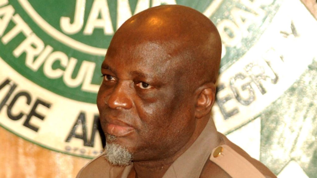 ‘Huge structural failures’ – Stakeholders react as Oloyede ends 2025 UTME blame-game