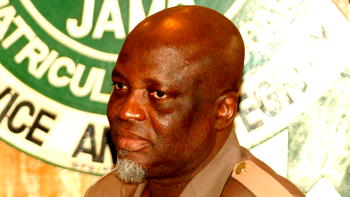 2025 JAMB results, our failure as a nation