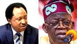 Ministerial List: Tinubu rewarding vultures, appeasing snakes – Shehu Sani