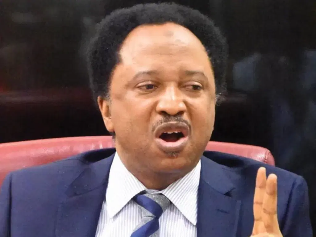 Peter Obi vs Deji: Don’t post everything in your mind — Shehu Sani advises youths