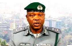 Customs intercept, seizes 31 arms stuffed in bags of charcoal in Lagos ports