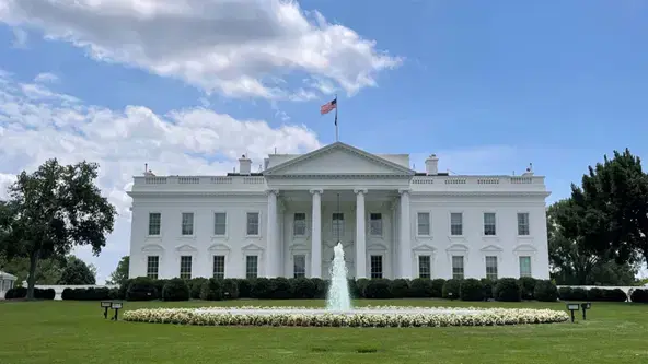 White House to host cage fight in 2026 – UFC boss