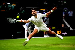 Djokovic halted by Wimbledon curfew