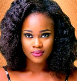 BBNaija housemates unveiled
