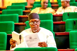 Ihonvbere, House of Reps Majority Leader loses return bid 