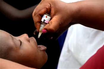 Kano Govt kicks off polio vaccination