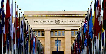 UN launches policy paper to counter, address online hate