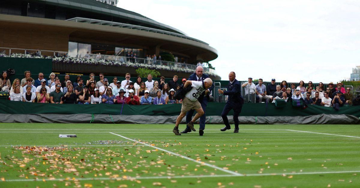 Wimbledon disrupted by climate protests Vanguard News