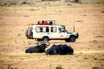 Safari with Xiaomi winners experience the iconic African wilderness the Maasai Mara