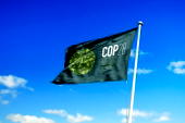 From pledges to progress: Strengthening Africa’s voice, access to climate financing post-COP29