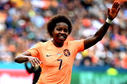 Netherlands striker Beerensteyn glad ‘big-mouth’ US out of World Cup