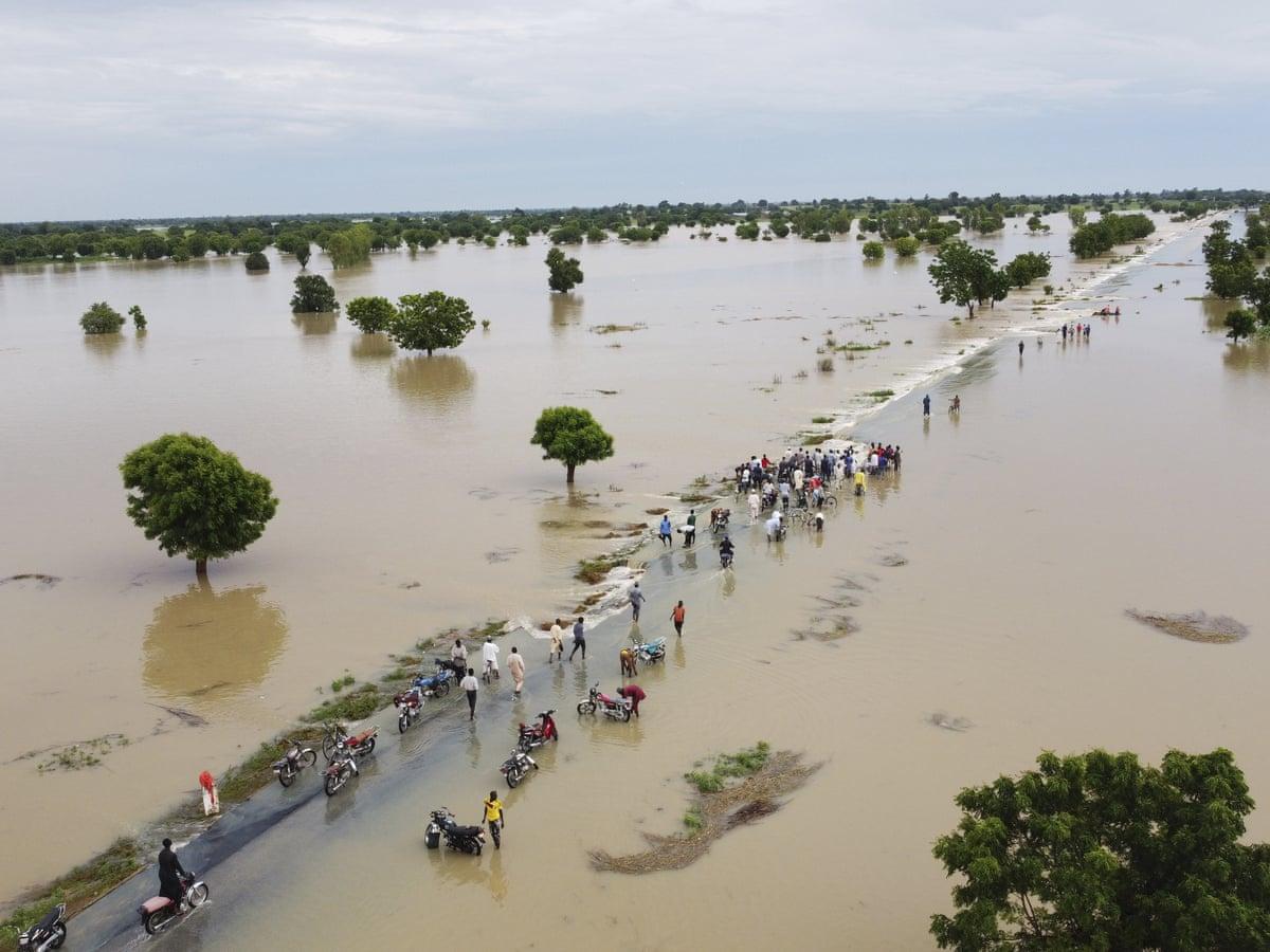 Anxiety in flood-prone states as Cameroon opens Lagdo Dam – Rifnote