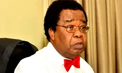 Burkina Faso, Mali, Niger pull-out: ECOWAS turned to ‘battlefield’ by Russia, USA – Bolaji Akinyemi