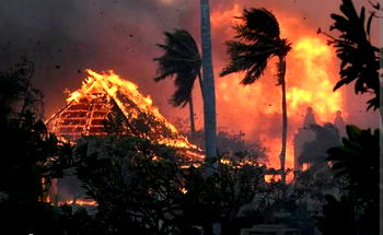 Hawaii wildfire death toll hits 55