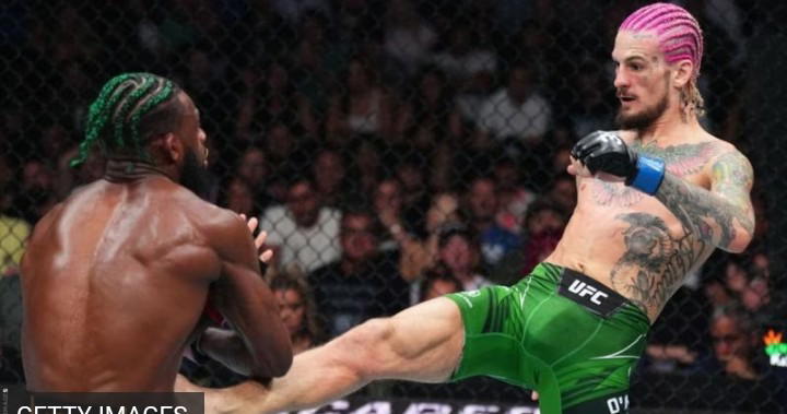 Sean O'Malley Stuns Aljamain Sterling To Win UFC Bantamweight Title ...