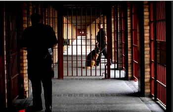 Human rights group accuses UK of keeping trafficked children in sex offenders’ prison 