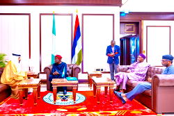 Tinubu to Envoys: Only homegrown solutions ‘ll solve African problems