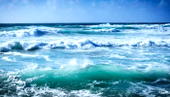 The Blue Economy: What is this phrase we keep hearing about?, by Stephanie Shaakaa