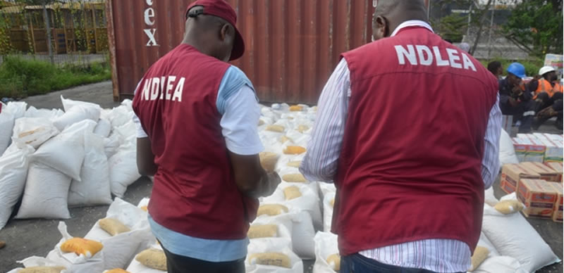 NDLEA bursts drug cartel, seizes 14.4m pills of opioids in Lagos raids