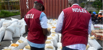 Drug war: NDLEA intercepts large consignment of Loud from New York at Lagos Airport