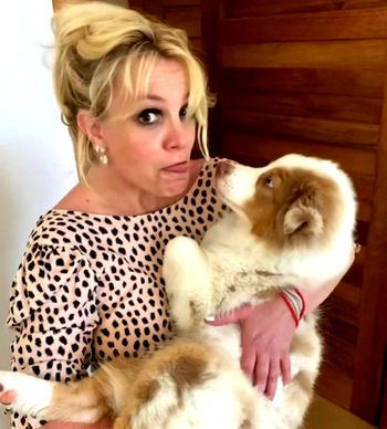 Britney Spears refuses to give up custody of dogs amid divorce with Sam Asghari