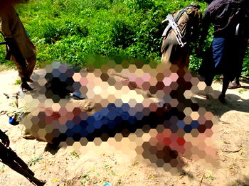 41 terrorists, commanders killed as Boko Haram clashes with ISWAP in Borno