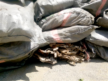 Customs confiscates contraband worth N164.8m in Kebbi