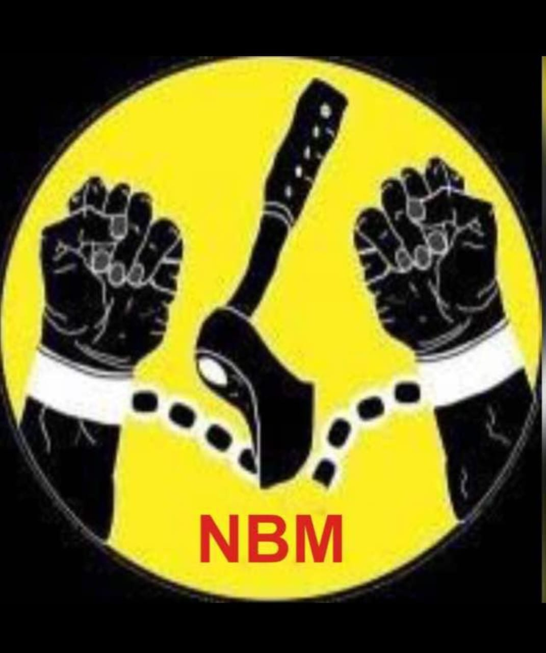 NBM Opposes War In Niger, Urges Focus On Nigeria's Challenges ...