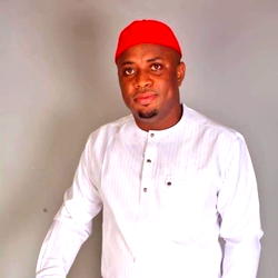 FUEL SUBSIDY: Tinubu’s inaugural statement was unnecessary – Ezeh, PDP Chieftain