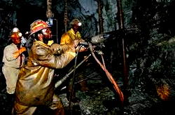 Block all leakages in mining industry, don urges govt