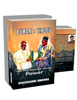 Ochereome unmasks Nigeria’s political buccaneers in new book  