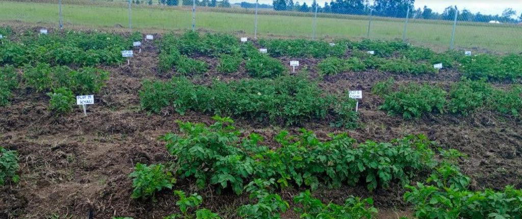 Land Dispute: Lawyer faults planned Lagos stakeholders’ meeting