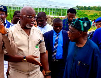 Why I’m bringing innovation into agric, food production — Pinnick