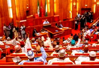 Senate to FG:  Use contingency funds, Service Wide Votes to repair Zungeru bridge, others