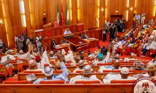 Rivers Crisis: Anger as NASS approves emergency rule with voice vote